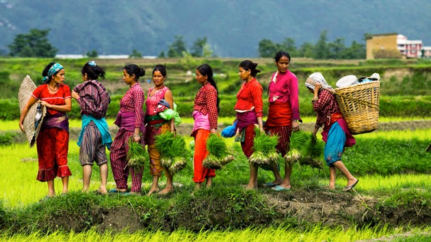 Nepal1