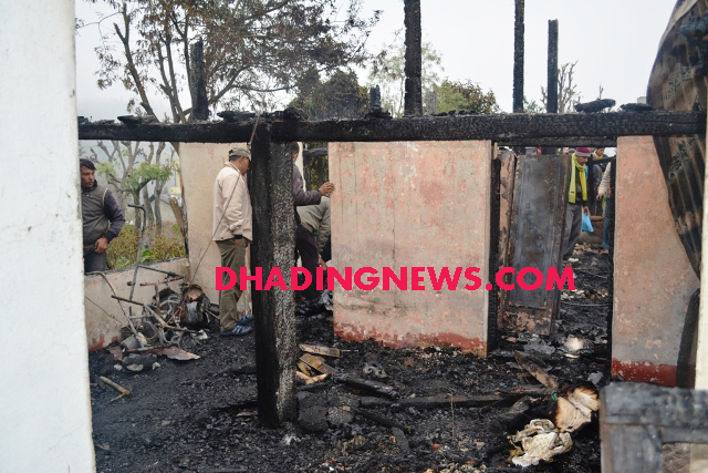 DSC_4287