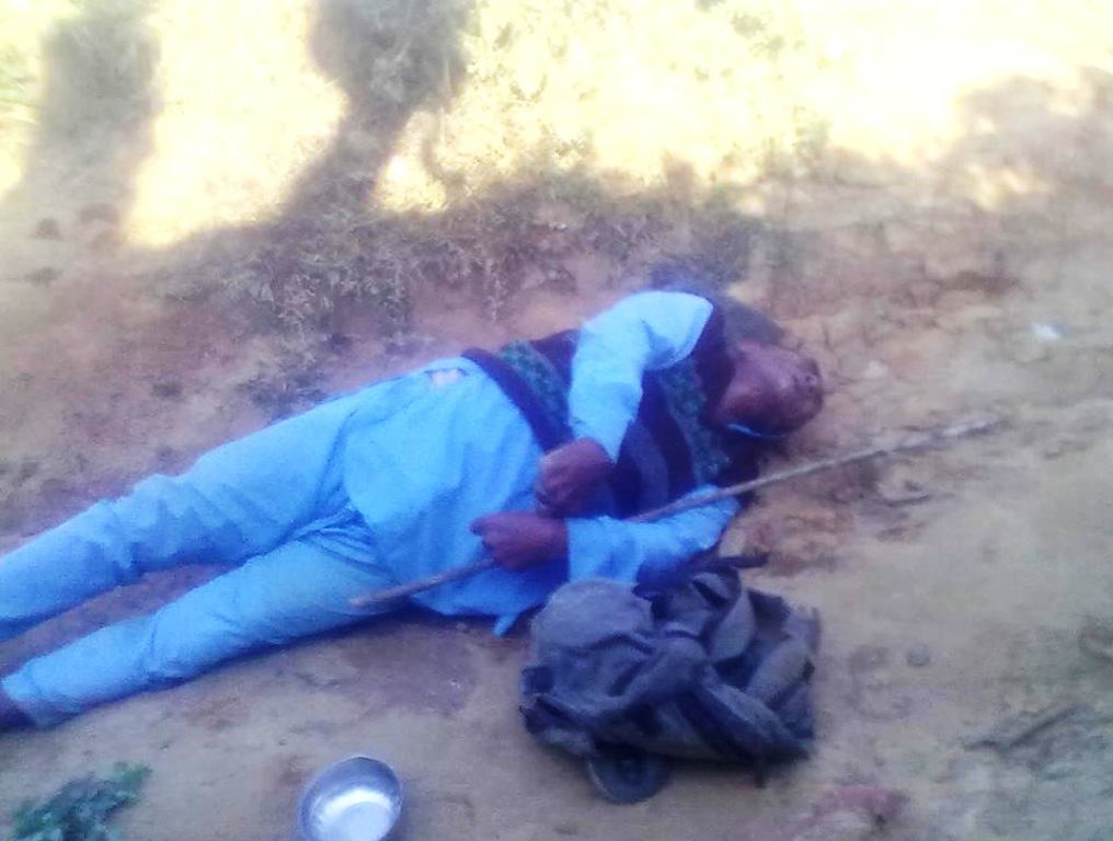 pidaa vdc dhading biraami 34511