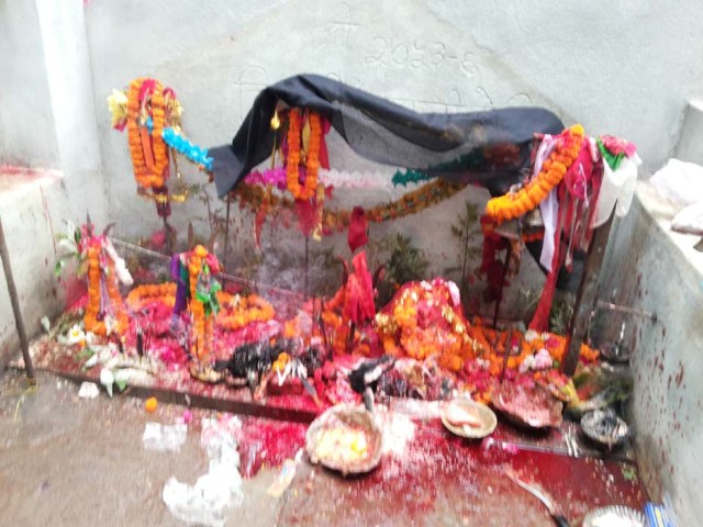 Sudhar hudai r isthapna mrti r puja gareko  (5)