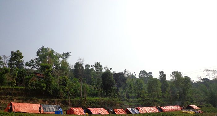 photo no 4