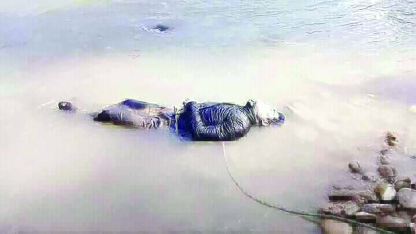 death-body-dhaging-accident